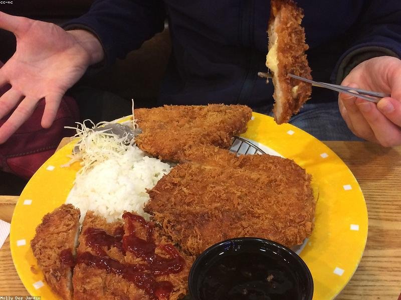 Chicken Katsu Fry